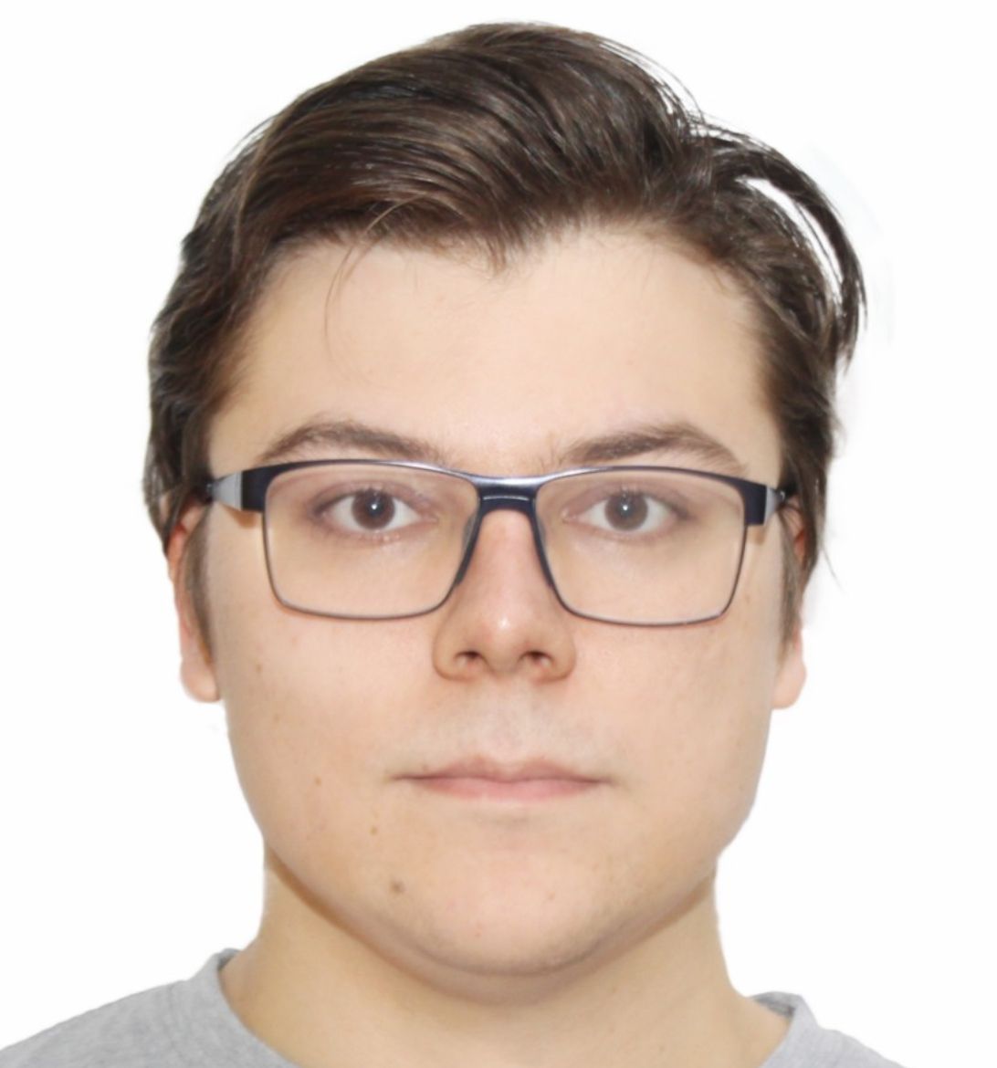 Leonid Gorodetskii