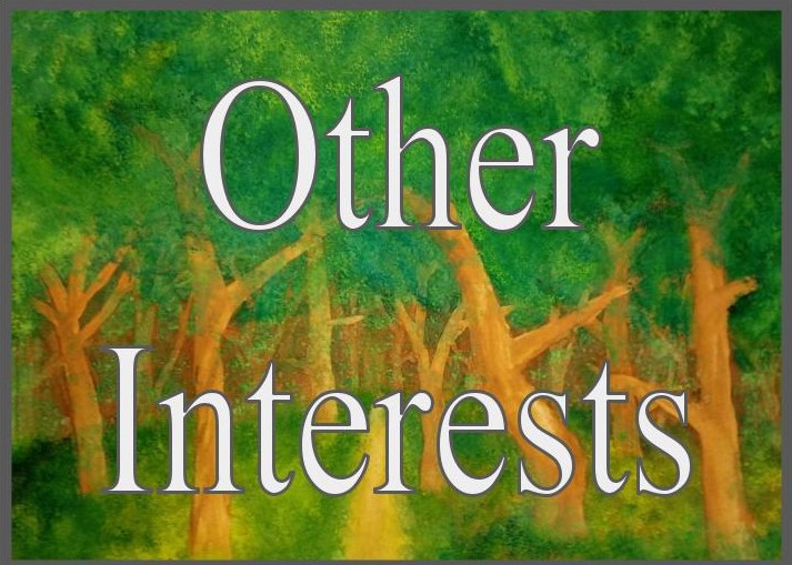 other_interests